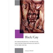 Black/Gay: The Harlem Renaissances, the Protest Era, and the..., 9781611860092