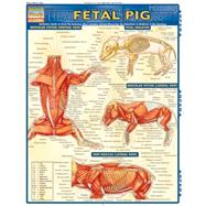 ISBN 9781423201779 product image for Fetal Pig | upcitemdb.com