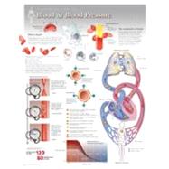 Blood and Blood Pressure : Human Physiology,9781935612063 Blood and Blood Pressure : Human Physiology,9781935612063