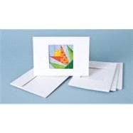 Carol Doak's Keepsake Frame Cards : Display and Gift Your Ar..., 9781607052753