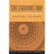 State Legislatures Today : Politics under the Domes,9780136033554 State Legislatures Today : Politics under the Domes,9780136033554