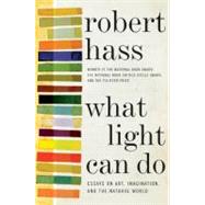 What Light Can Do : Essays on Art, Imagination, and the Natu..., 9780061923920
