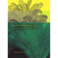 Plants in Mesozoic Time : Morphological Innovations, Phyloge..., 9780253354563