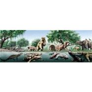 Urumaco and Venezuelan Paleontology : The Fossil Record of t..., 9780253354761