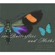 100 Butterflies and Moths : Portraits from the Tropical Fore..., 9780674034839