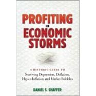 Profiting in Economic Storms : A Historic Guide to Surviving..., 9780470596333