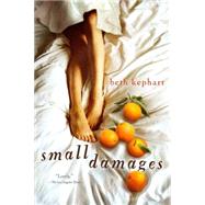 Small Damages,9780142426418 Small Damages,9780142426418