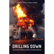Drilling Down : The Gulf Oil Debacle and Our Energy Dilemma, 9781441976765