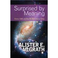Surprised by Meaning: Science, Faith, and How We Make Sense ..., 9780664236922