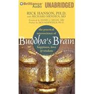 Buddha's Brain: The Practical Neuroscience of Happiness, Lov..., 9781441887535