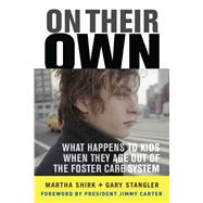 On Their Own : What Happens to Kids When They Age Out of the..., 9780465077663