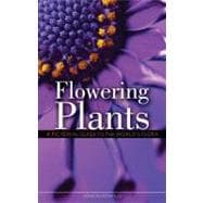 Flowering Plants : A Pictorial Guide to the World's Flora, 9781554077670
