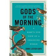 Gods of the Morning: A Bird's-Eye View of a Changing World by Lister-Kaye, John