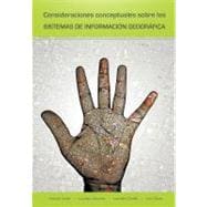 Consideraciones Conceptuales Sobre Los Sistemas de Informaci..., 9781463308780