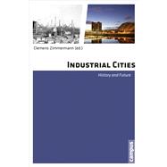 Industrial Cities: History and Future,9783593399140 Industrial Cities: History and Future,9783593399140