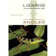 Lizards in an Evolutionary Tree : Ecology and Adaptive Radia..., 9780520269842