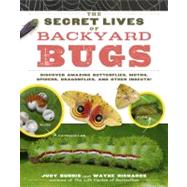 The Secret Lives of Backyard Bugs: Discover Amazing Butterflies, Moths, Spiders, Dragonflies, and Other Insects!,9781603429856 The Secret Lives of Backyard Bugs: Discover Amazing Butterflies, Moths, Spiders, Dragonflies, and Other Insects!,9781603429856